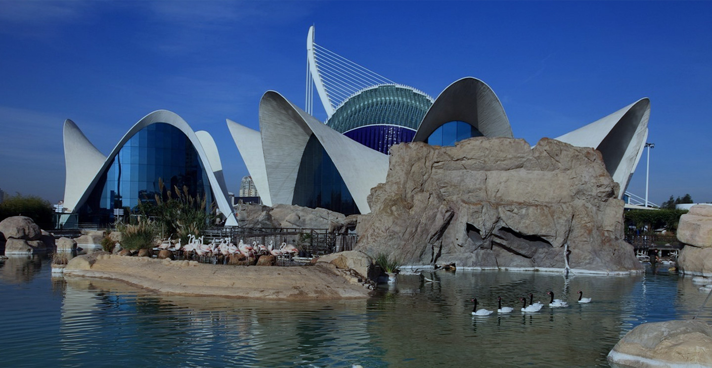 Museo de las  Artes y las Ciencias y Oceanográfico  (Valencia)