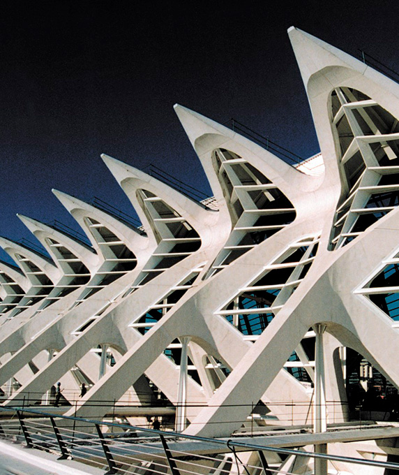 
			Museo de las  Artes y las Ciencias y Oceanográfico  (Valencia)
			
		