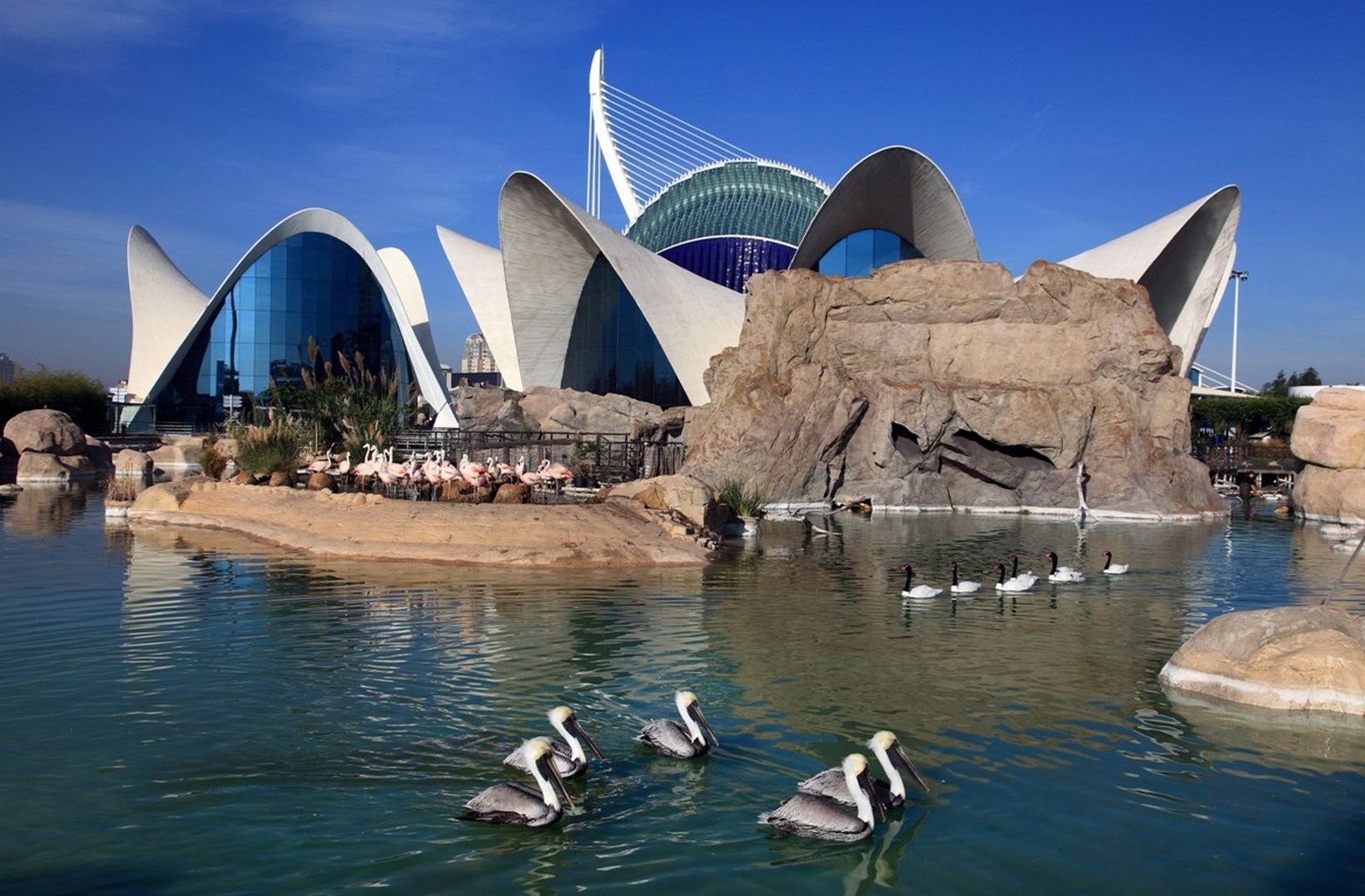 Exterior view of the oceanography Museum