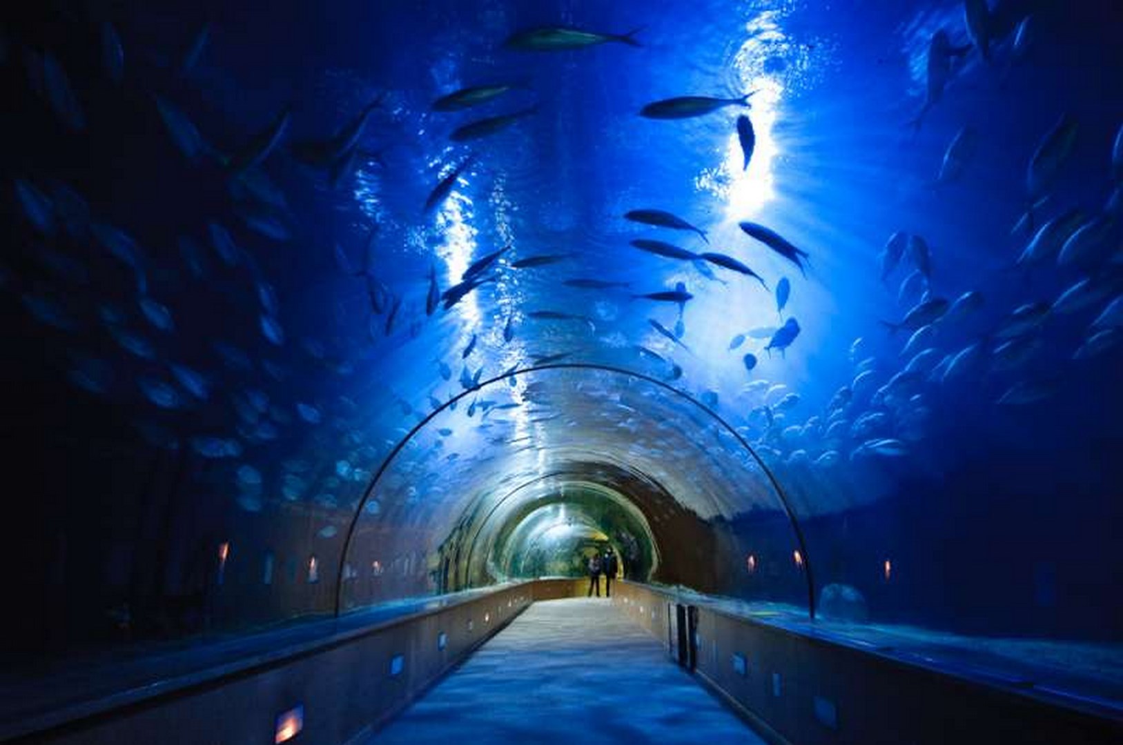 Interior view of the Oceanography Museum of Valencia