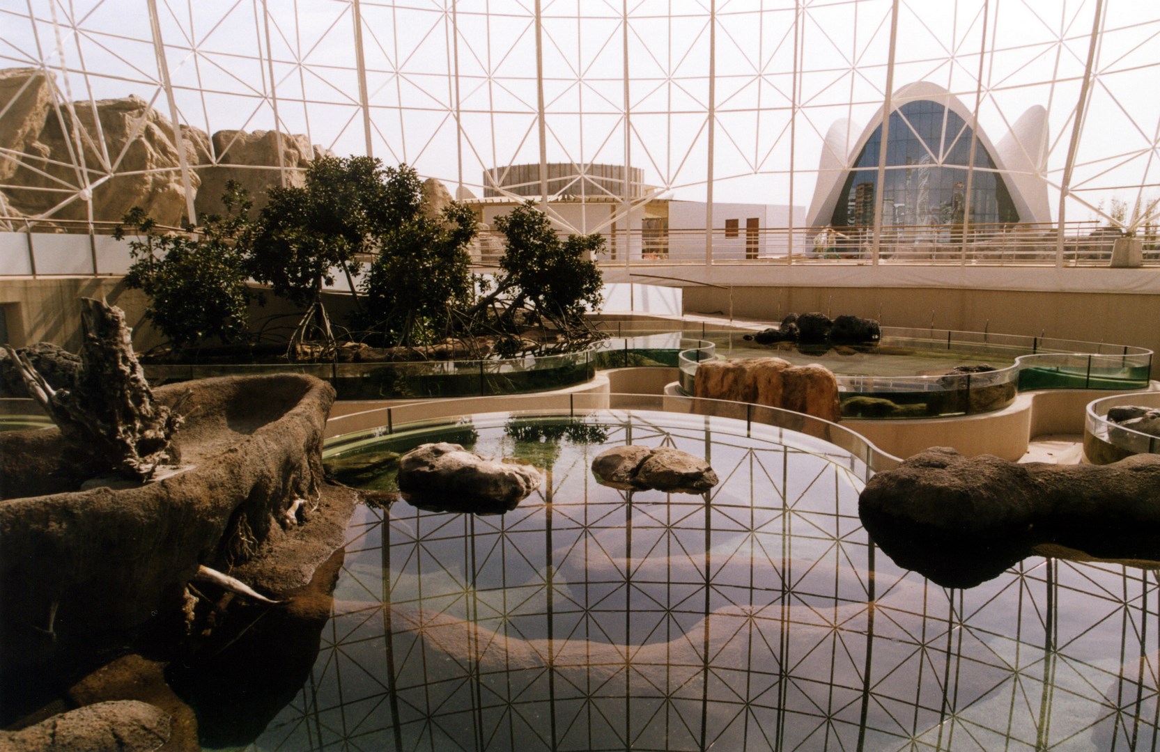Interior of the spatial structure – bird zone