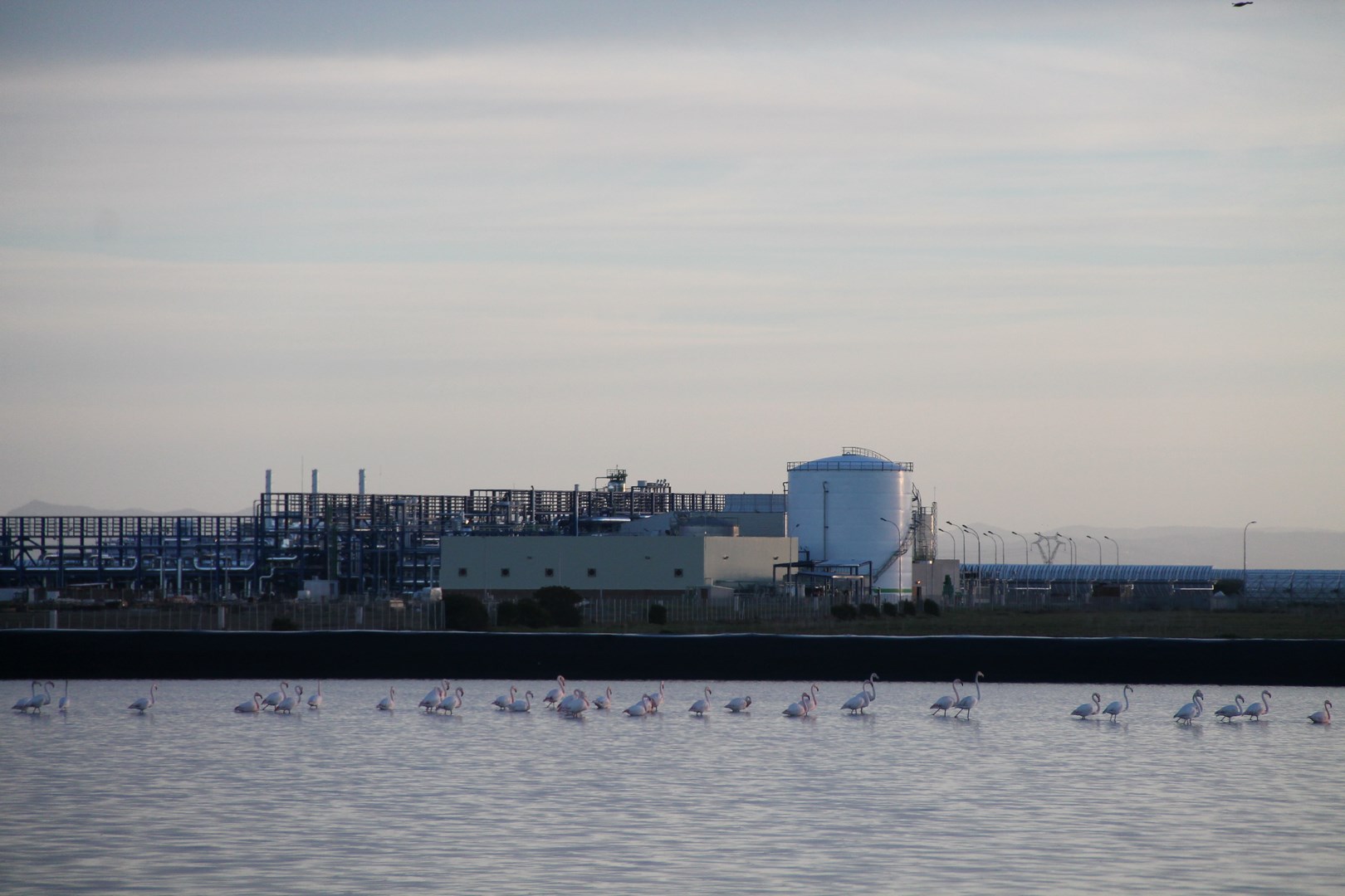 Thermosolar plant
