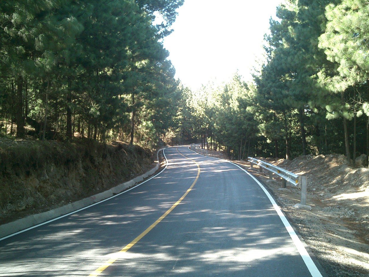 National Route 12.  Woods