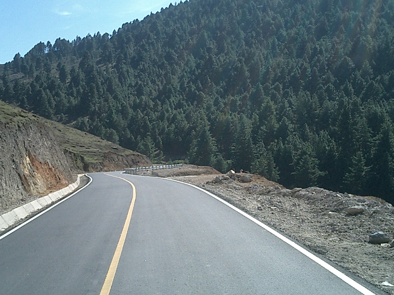National Route 12.  Woods