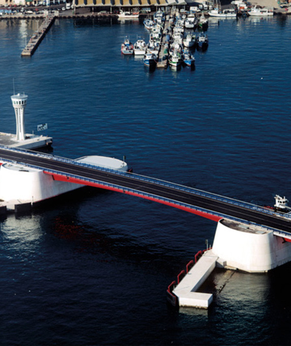 
			Puente Basculante de Tarragona
			
		