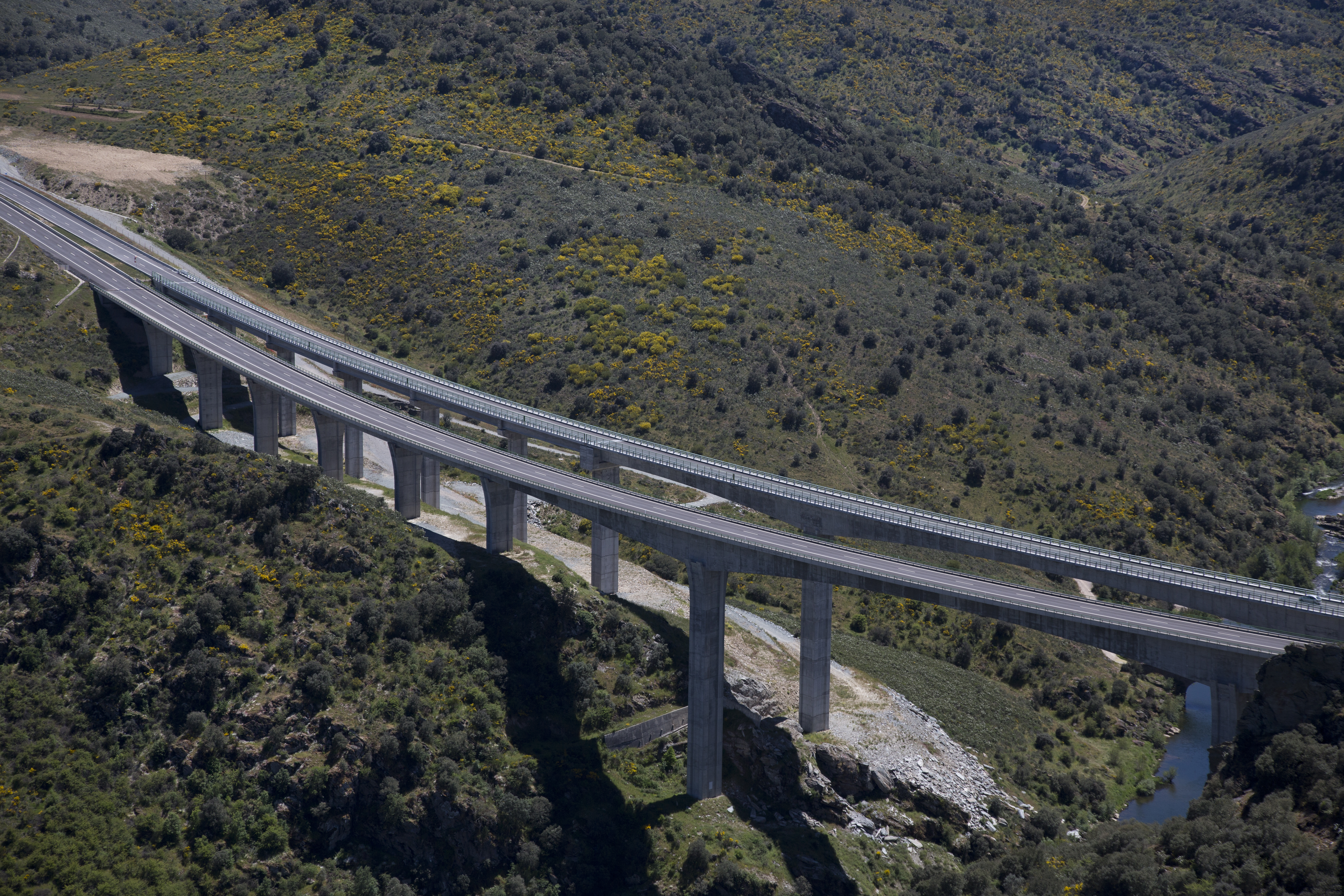 Puente de sabor