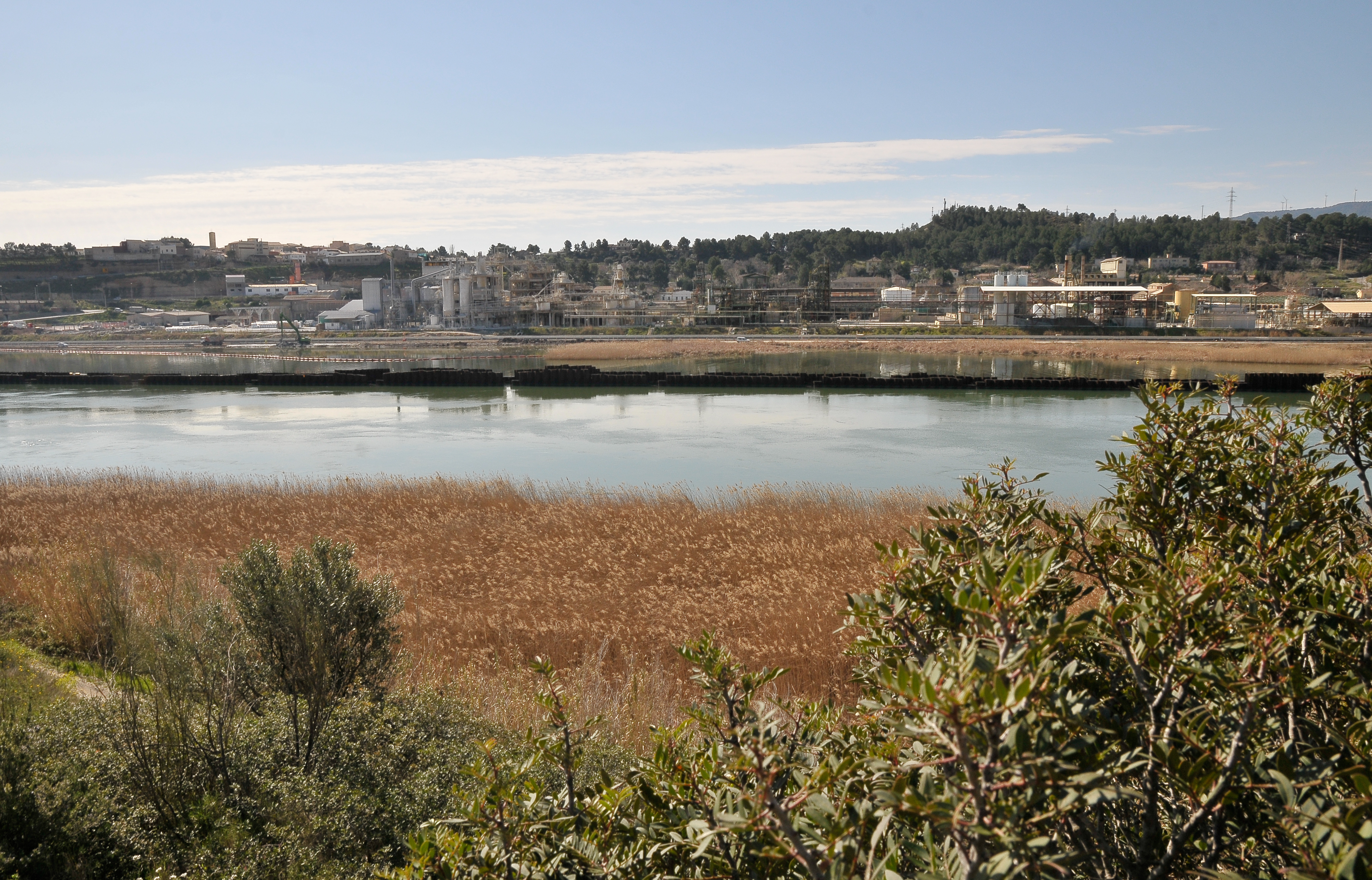 
			Embalse de Flix
			
		