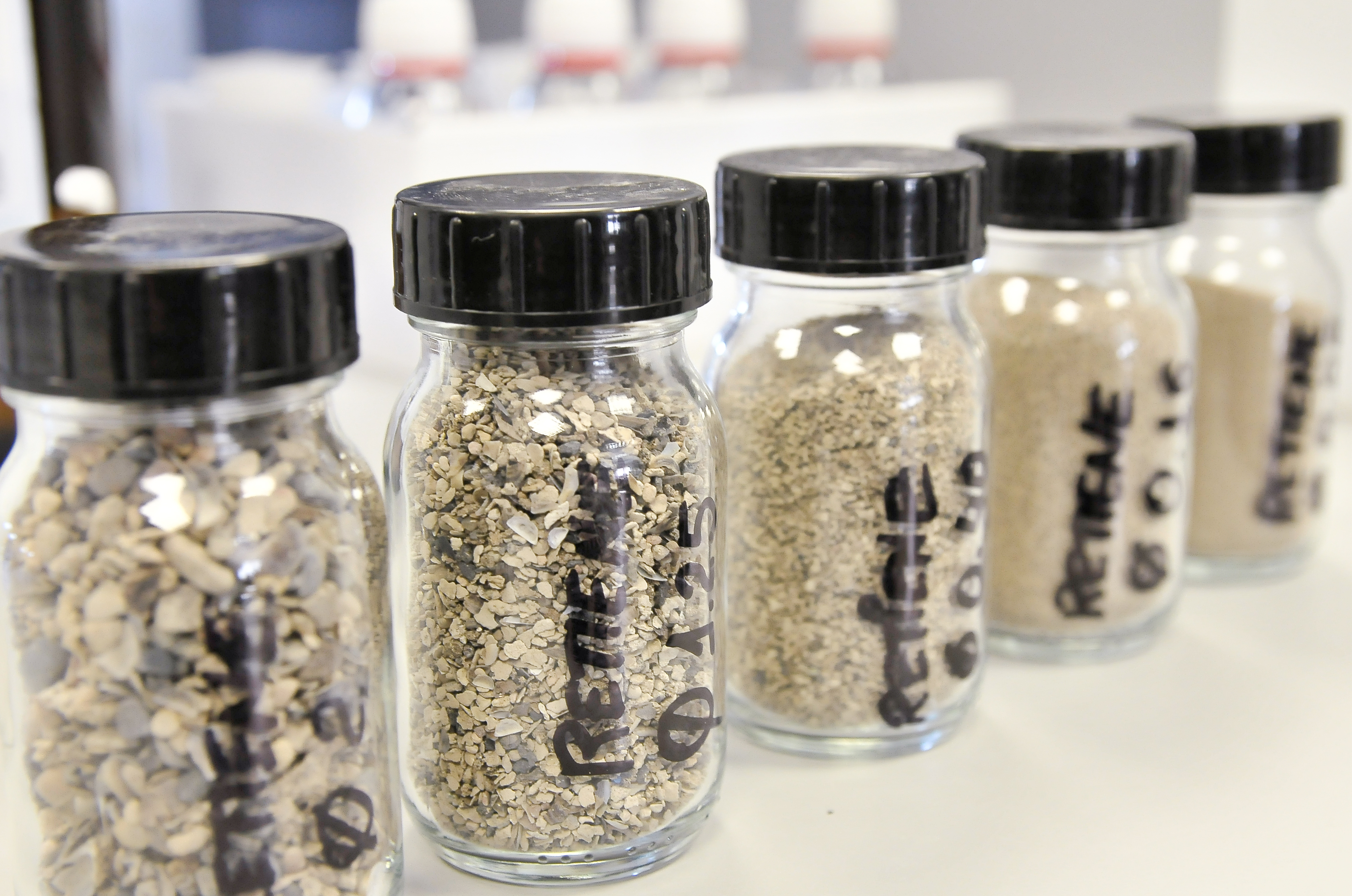 Analysed samples