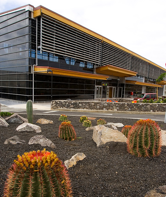 Aeropuerto Tenerife Sur