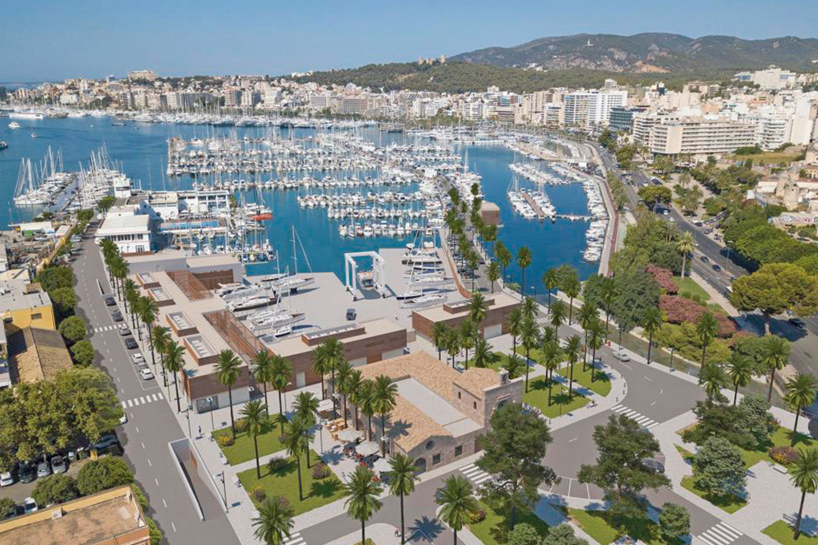 Infografía Club deportivo Mallorca