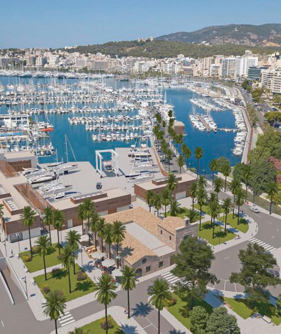 
			Club deportivo Mallorca
			
		