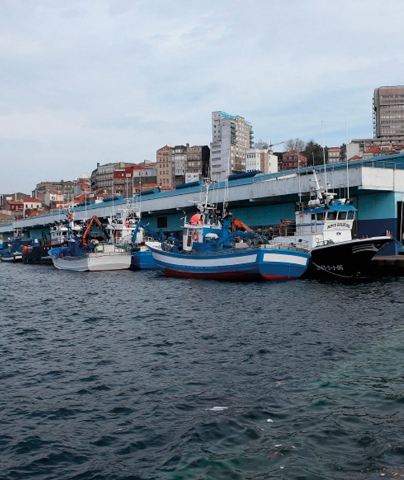 
			
			Port of Vigo fish market
		