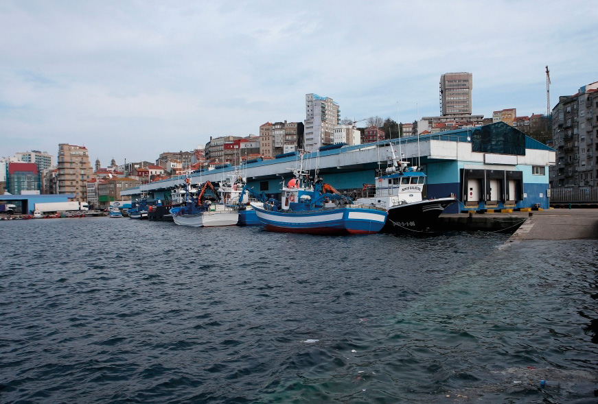 Port of Vigo fish market